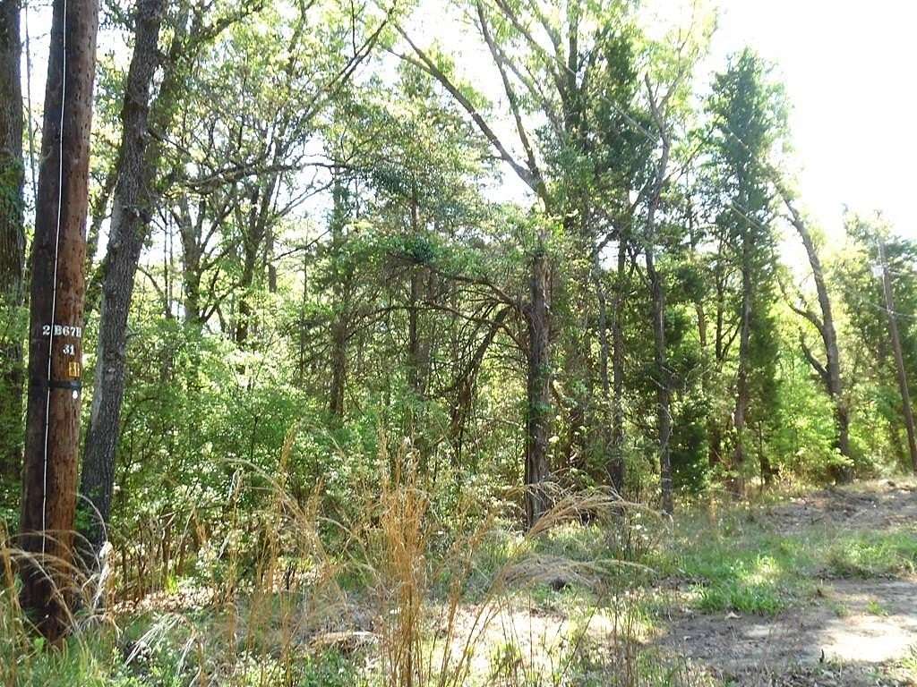 0.28 Acres of Residential Land for Sale in Murchison, Texas