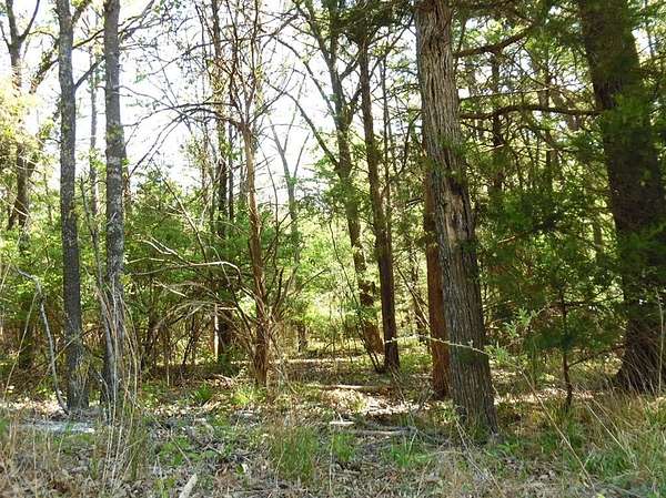 0.28 Acres of Residential Land for Sale in Murchison, Texas