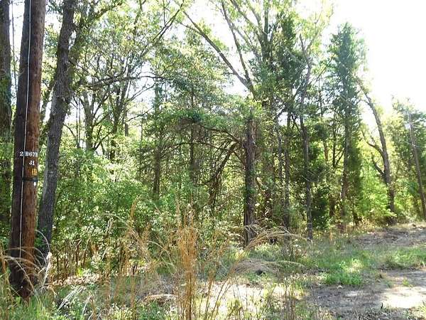 0.28 Acres of Residential Land for Sale in Murchison, Texas