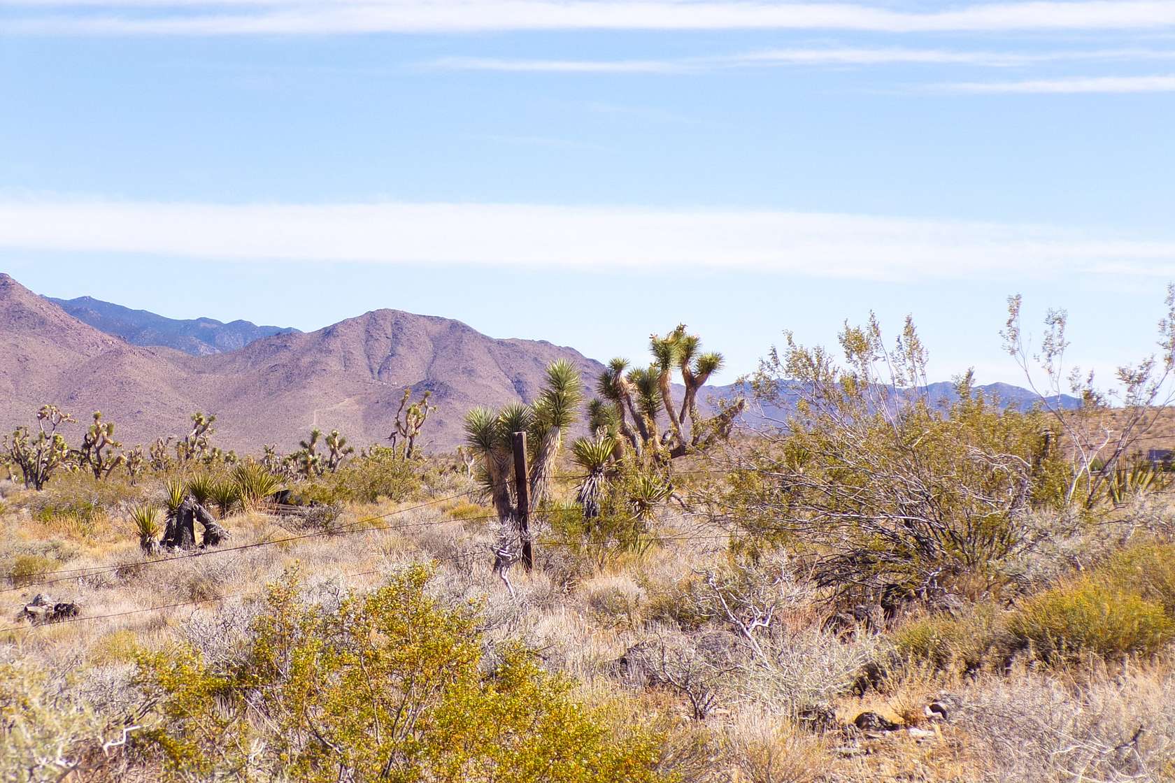 1 Acre of Land for Sale in Dolan Springs, Arizona