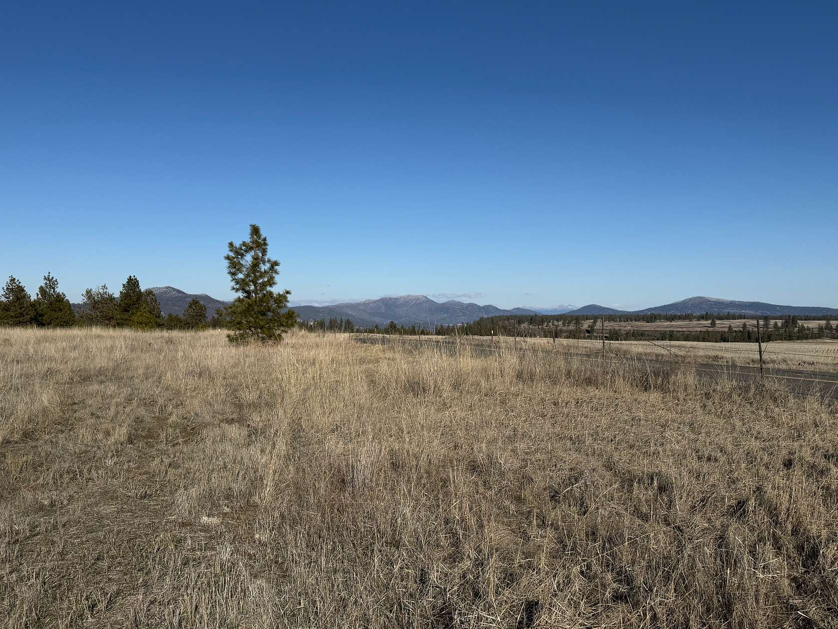319 Acres of Recreational & Residential Land for Sale in Nine Mile Falls, Washington