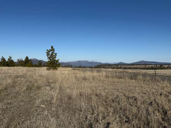 319 Acres of Recreational & Residential Land for Sale in Nine Mile Falls, Washington