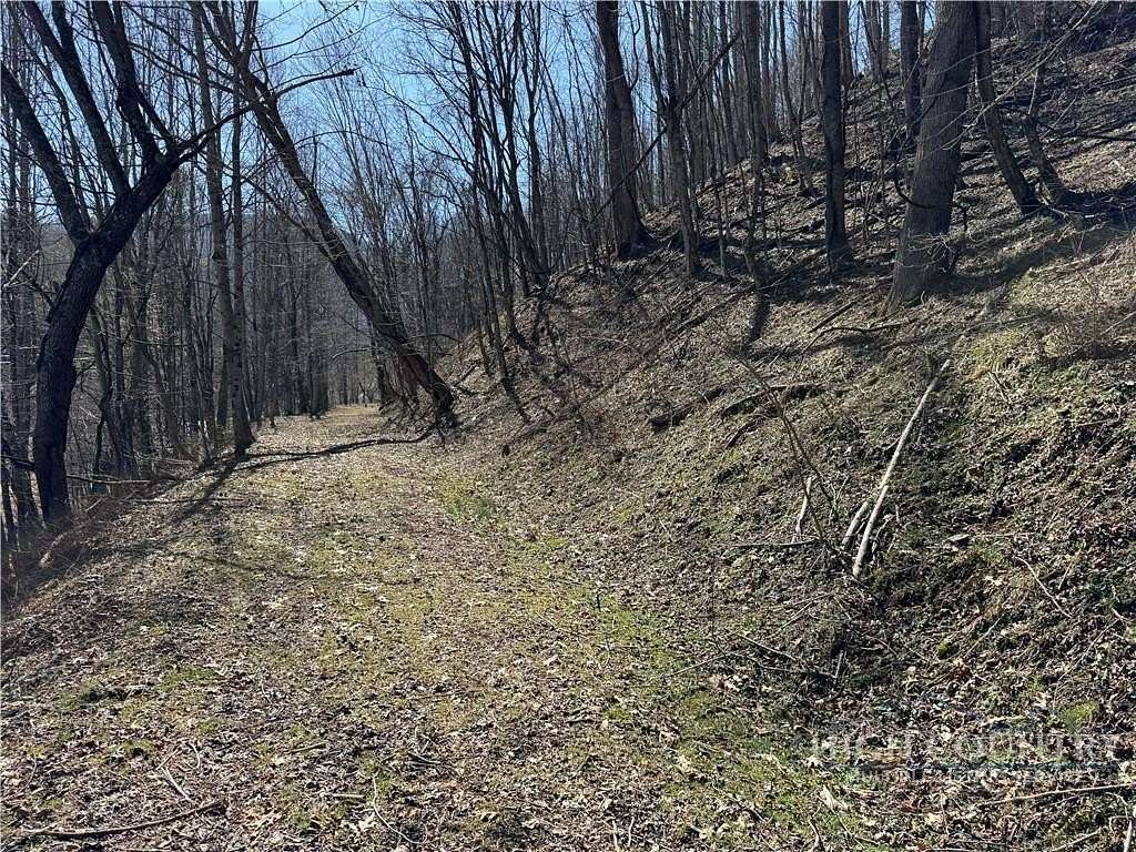 9.35 Acres of Land for Sale in Lansing, North Carolina