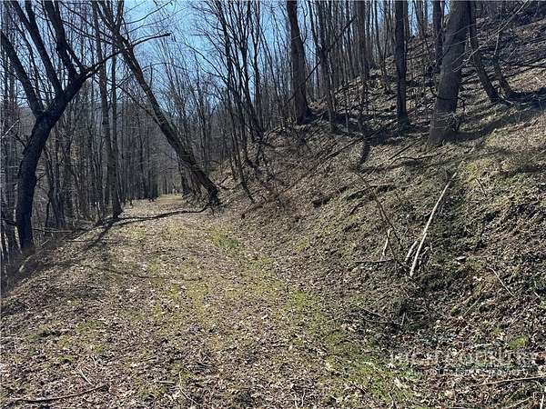 9.35 Acres of Land for Sale in Lansing, North Carolina