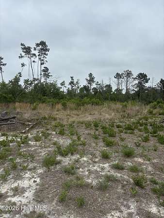 1.2 Acres of Residential Land for Sale in Clinton, North Carolina