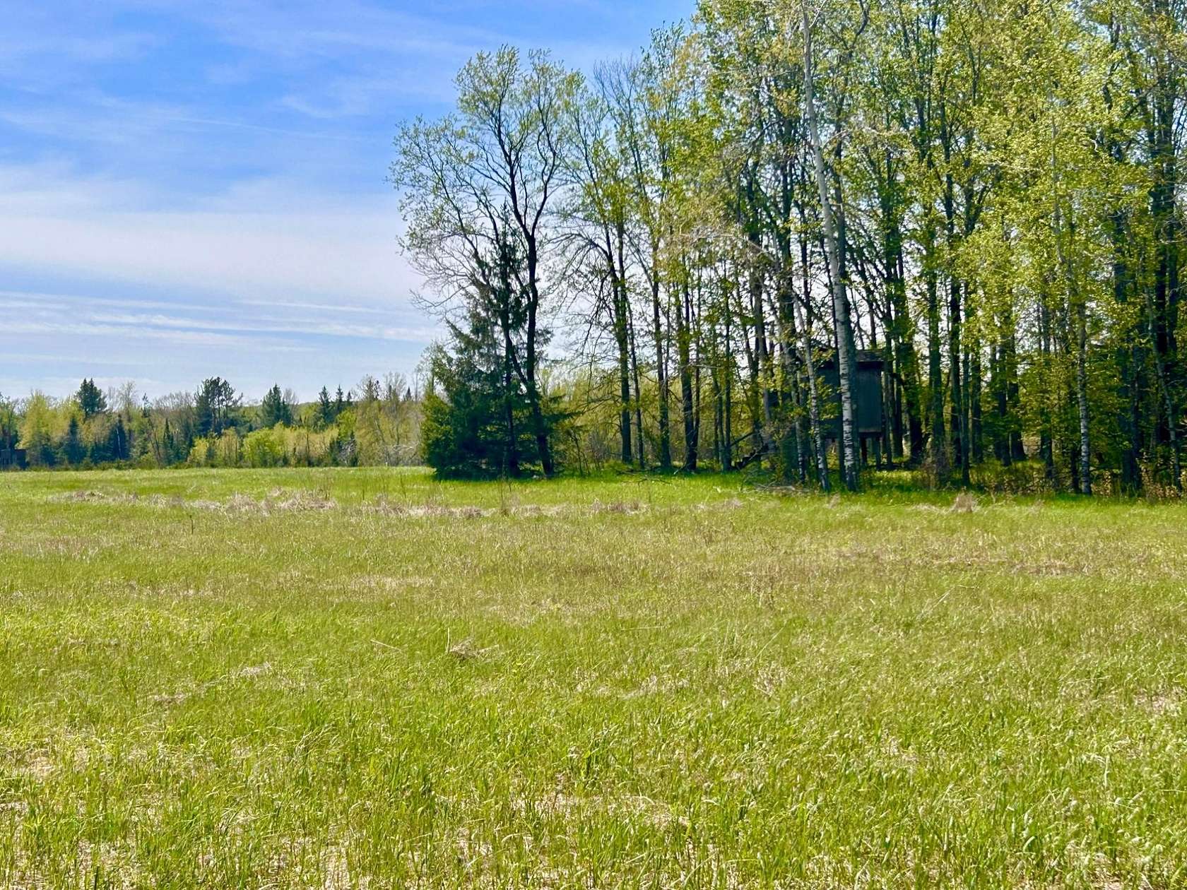 37.2 Acres of Land for Sale in White Lake, Wisconsin