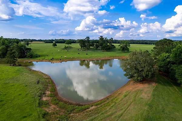 100 Acres of Land for Sale in Palestine, Texas
