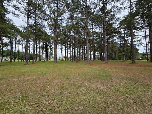 1 Acre of Residential Land for Sale in Manning, South Carolina