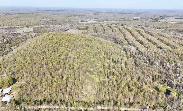 53.4 Acres of Recreational & Residential Land for Sale in Hermansville, Michigan