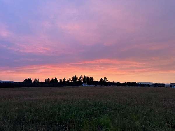 20 Acres of Land for Sale in McCall, Idaho