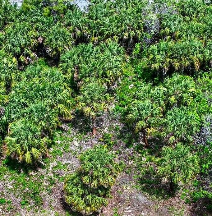 0.23 Acres of Residential Land for Sale in Palm Bay, Florida