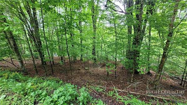 0.33 Acres of Land for Sale in Beech Mountain, North Carolina