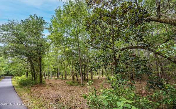 2.13 Acres of Residential Land for Sale in Ocean Springs, Mississippi