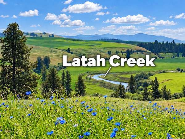 40 Acres of Agricultural & Residential Land for Sale in Spangle, Washington