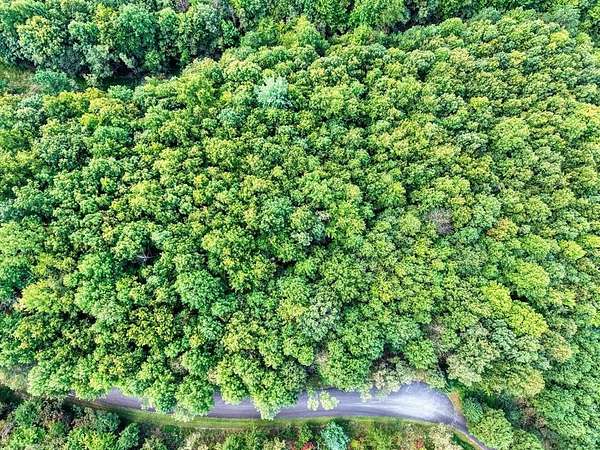 1 Acre of Residential Land for Sale in Blairsville, Georgia