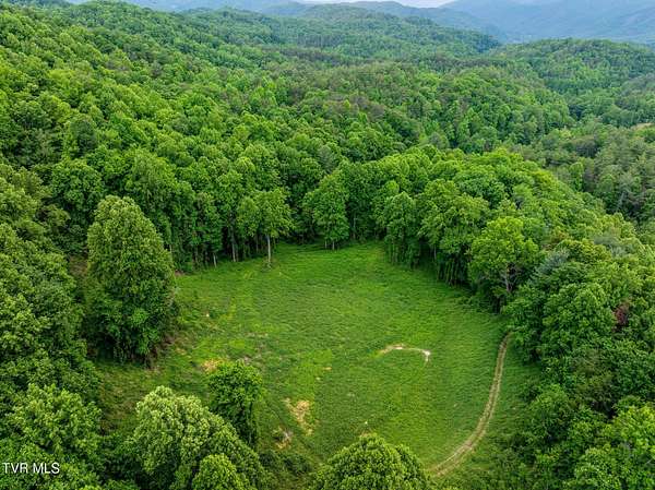 44.6 Acres of Land for Sale in Hartford, Tennessee