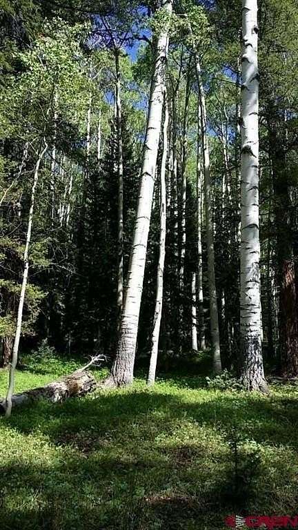 0.75 Acres of Land for Sale in Cimarron, Colorado