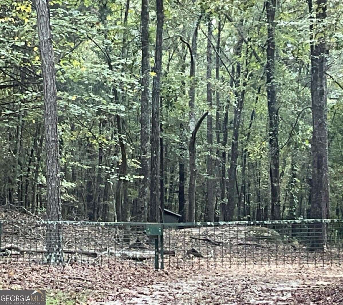12.4 Acres of Recreational Land for Sale in Sparta, Georgia