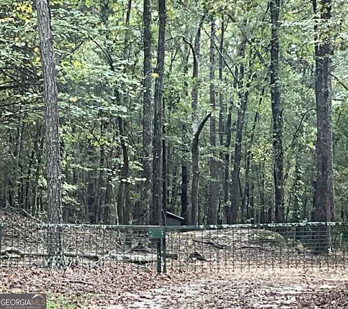 12.4 Acres of Recreational Land for Sale in Sparta, Georgia