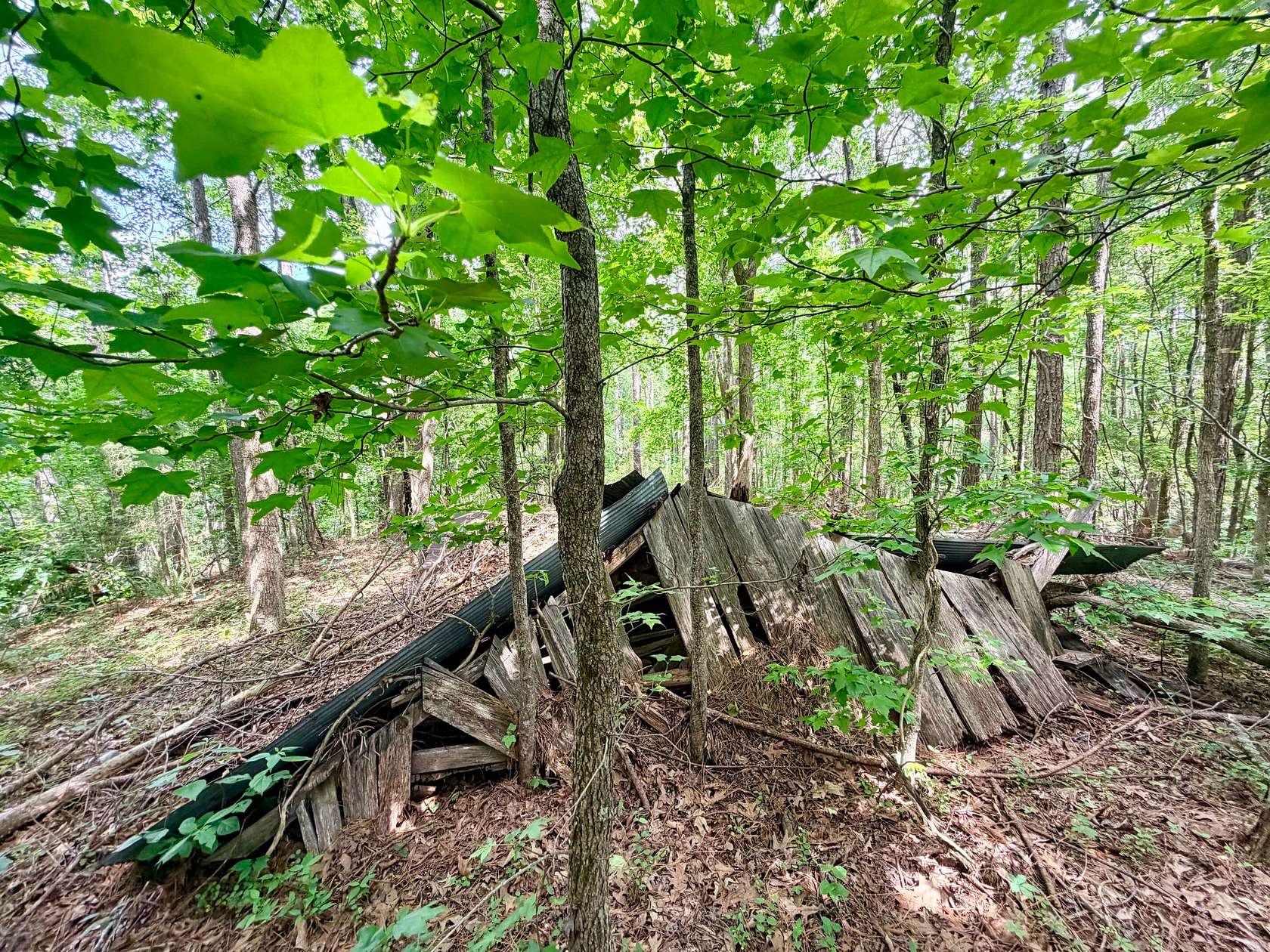76 Acres of Land for Sale in Booneville, Mississippi