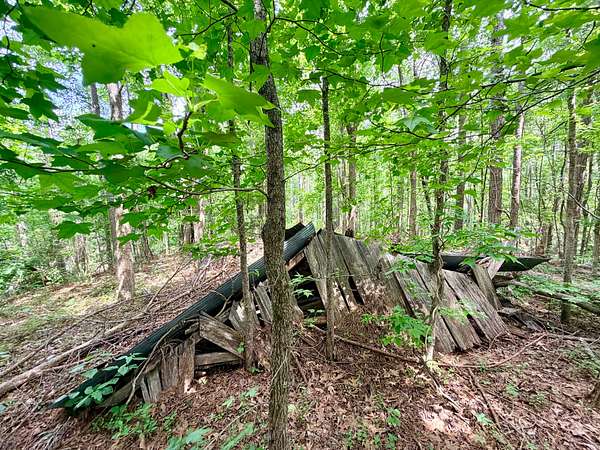 76 Acres of Land for Sale in Booneville, Mississippi