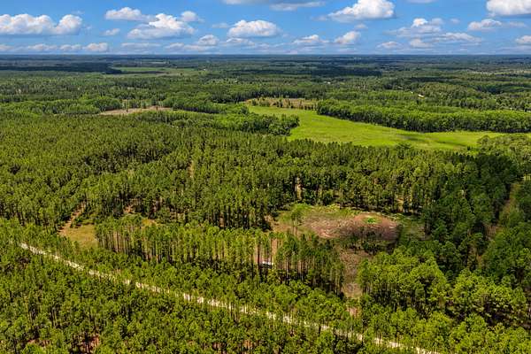 24.6 Acres of Land for Sale in Chiefland, Florida