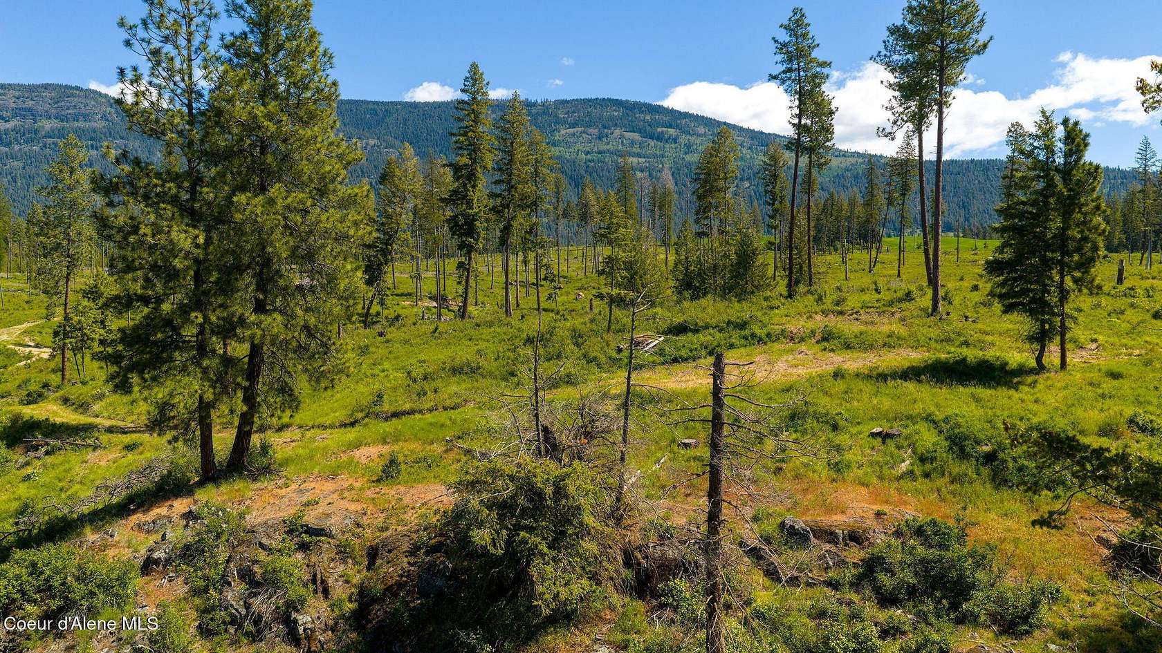 20 Acres of Land for Sale in Bonners Ferry, Idaho