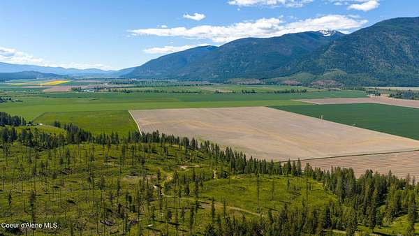 20 Acres of Land for Sale in Bonners Ferry, Idaho