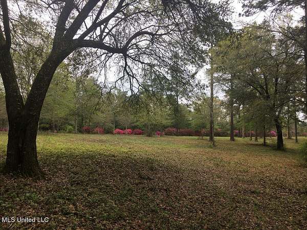 3.34 Acres of Residential Land for Sale in Poplarville, Mississippi