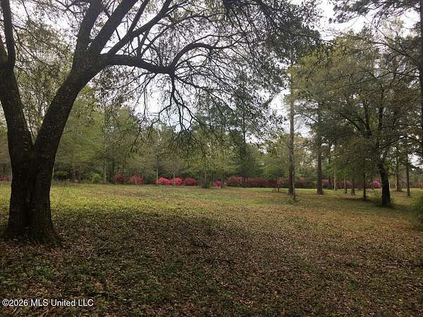 3.34 Acres of Residential Land for Sale in Poplarville, Mississippi