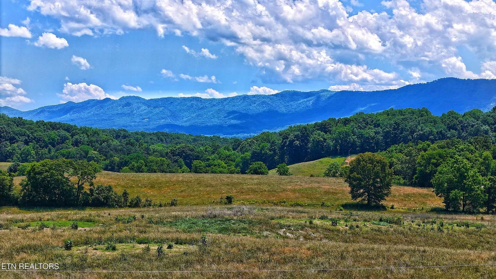 10 Acres of Land with Home for Sale in Parrottsville, Tennessee