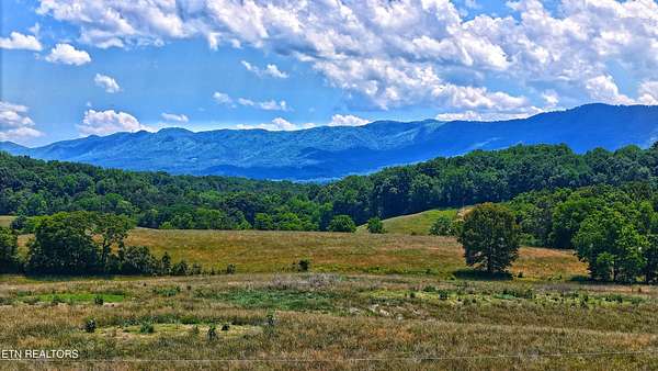 10 Acres of Land with Home for Sale in Parrottsville, Tennessee