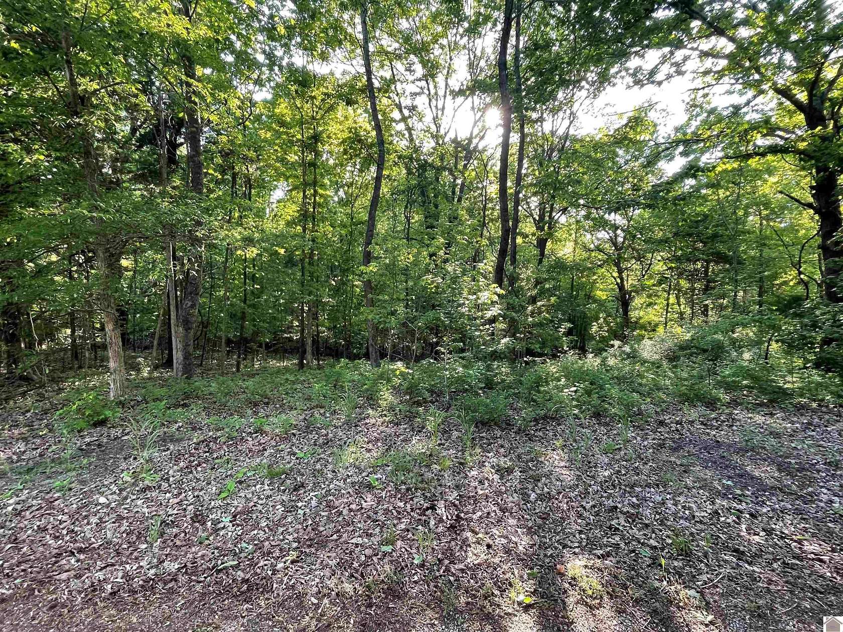 0.7 Acres of Residential Land for Sale in Cadiz, Kentucky