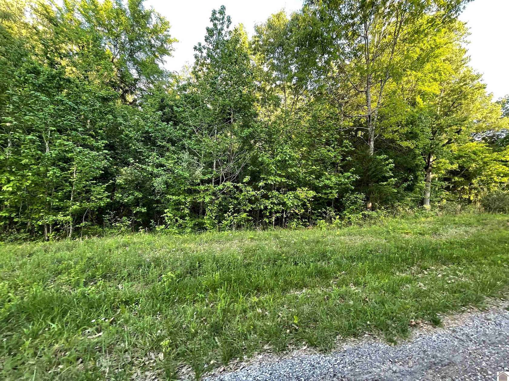 0.7 Acres of Residential Land for Sale in Cadiz, Kentucky