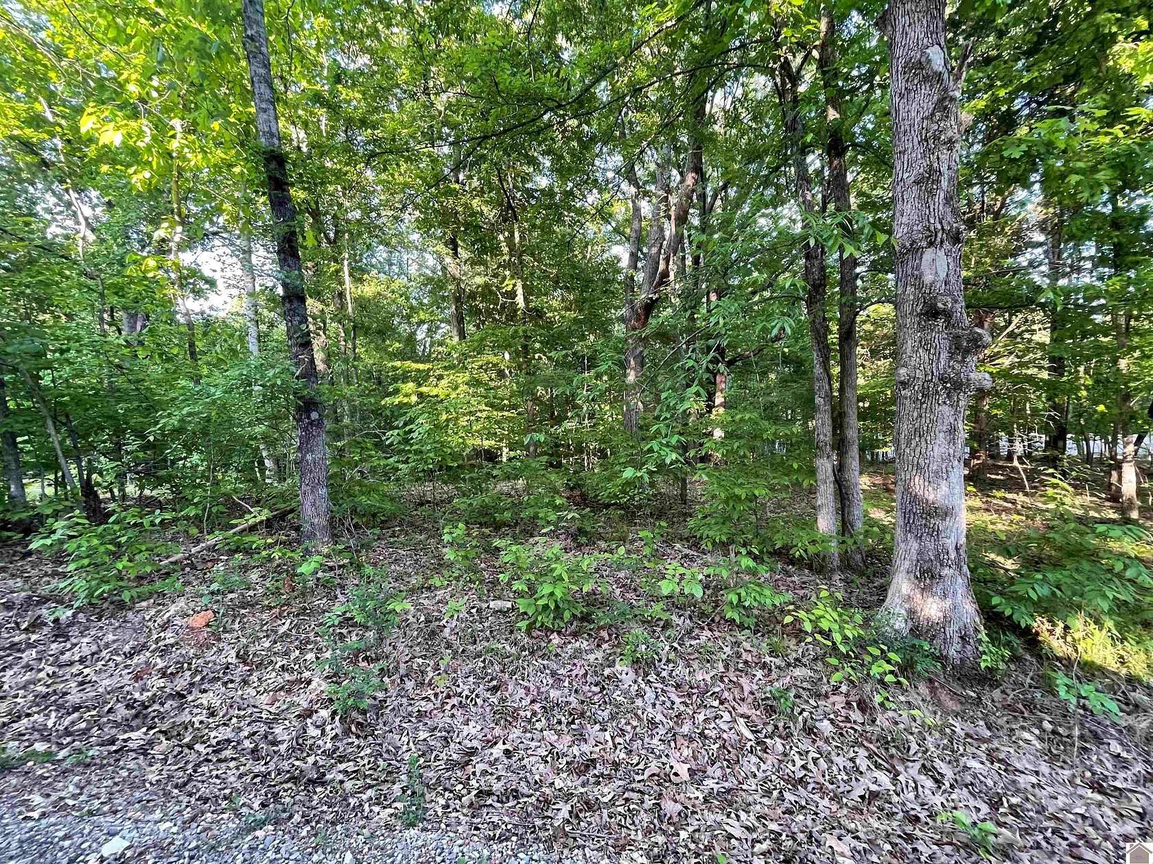 0.7 Acres of Residential Land for Sale in Cadiz, Kentucky