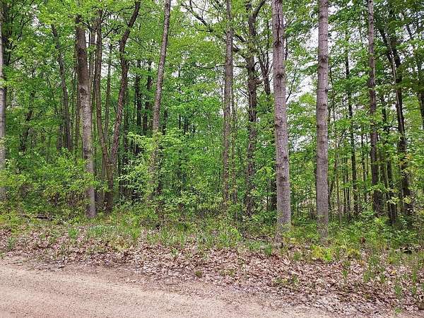 0.51 Acres of Residential Land for Sale in Harrison, Michigan