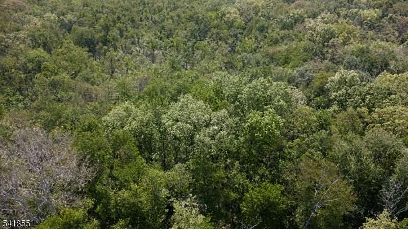 10 Acres of Land for Sale in Knowlton Township, New Jersey
