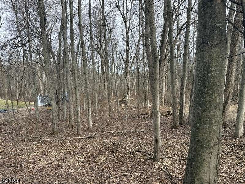 10 Acres of Land for Sale in Knowlton Township, New Jersey