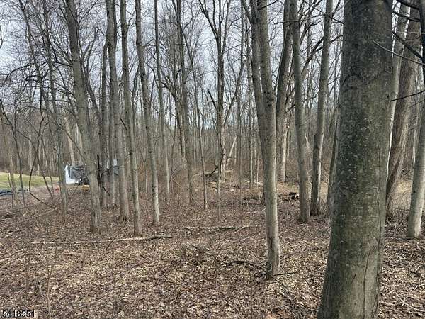 10 Acres of Land for Sale in Knowlton Township, New Jersey