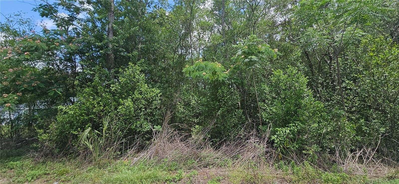 0.22 Acres of Residential Land for Sale in Summerfield, Florida