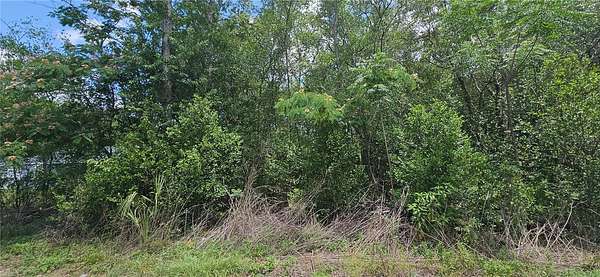 0.22 Acres of Residential Land for Sale in Summerfield, Florida