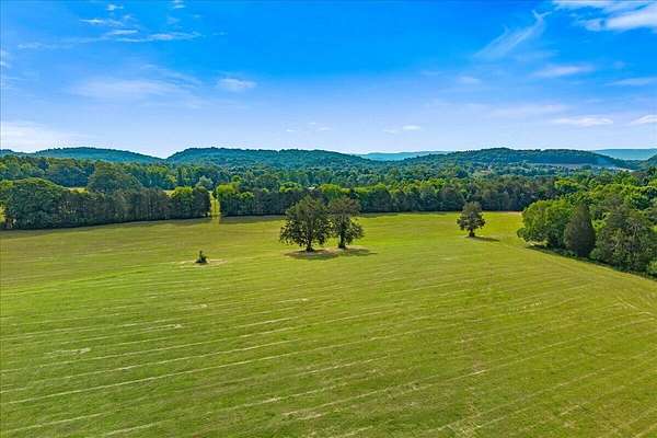 21 Acres of Land for Sale in Riceville, Tennessee