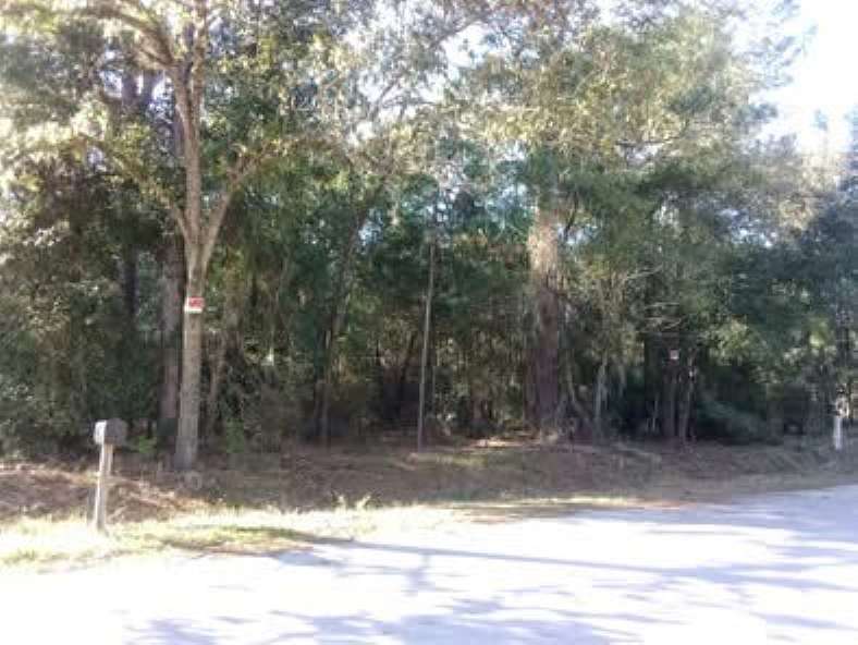 0.29 Acres of Residential Land for Sale in Belleview, Florida