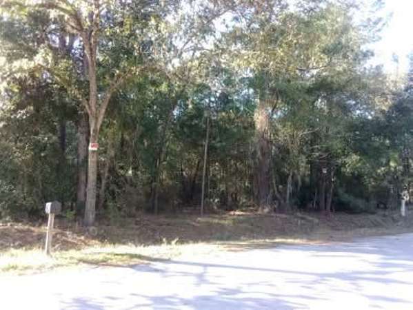 0.29 Acres of Residential Land for Sale in Belleview, Florida