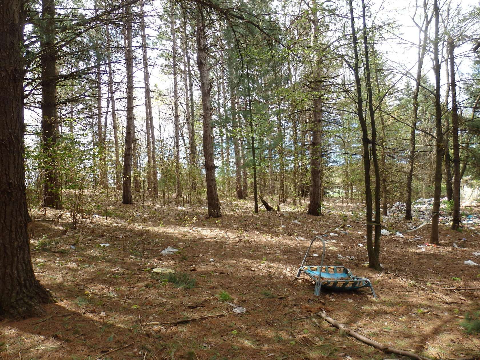10.1 Acres of Land for Sale in Copemish, Michigan
