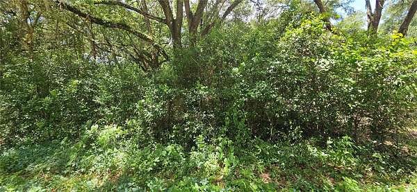 0.24 Acres of Residential Land for Sale in Summerfield, Florida