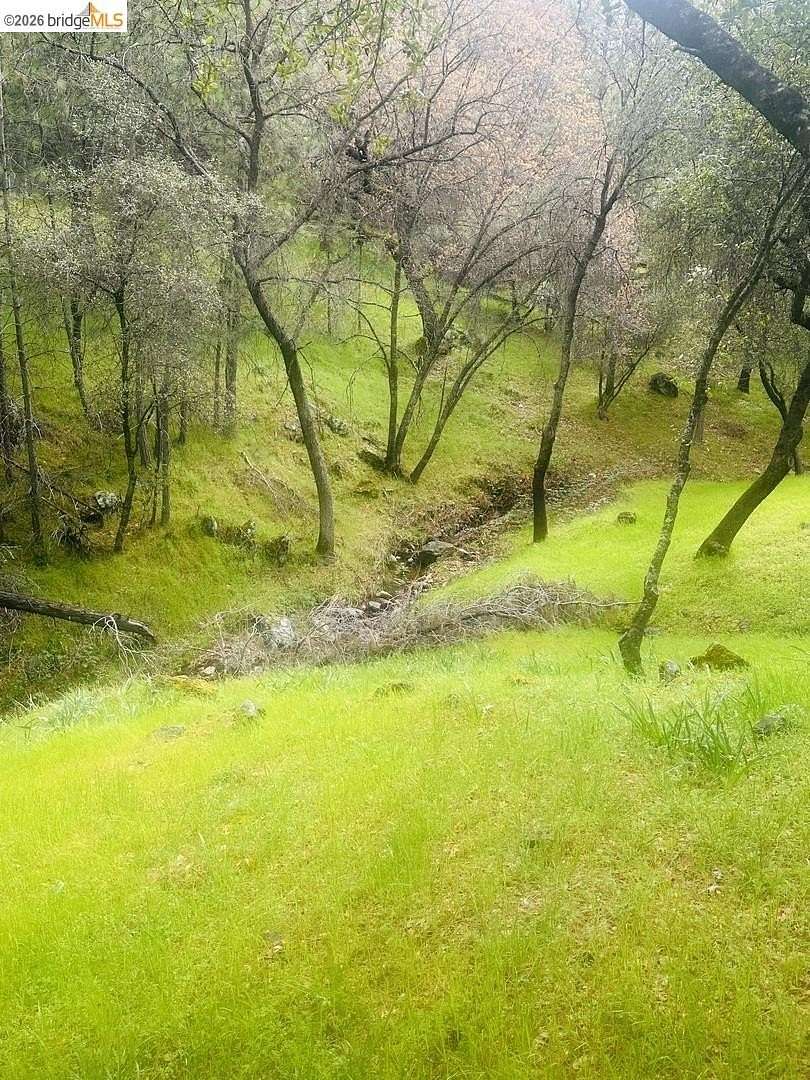 1.6 Acres of Residential Land for Sale in Groveland, California