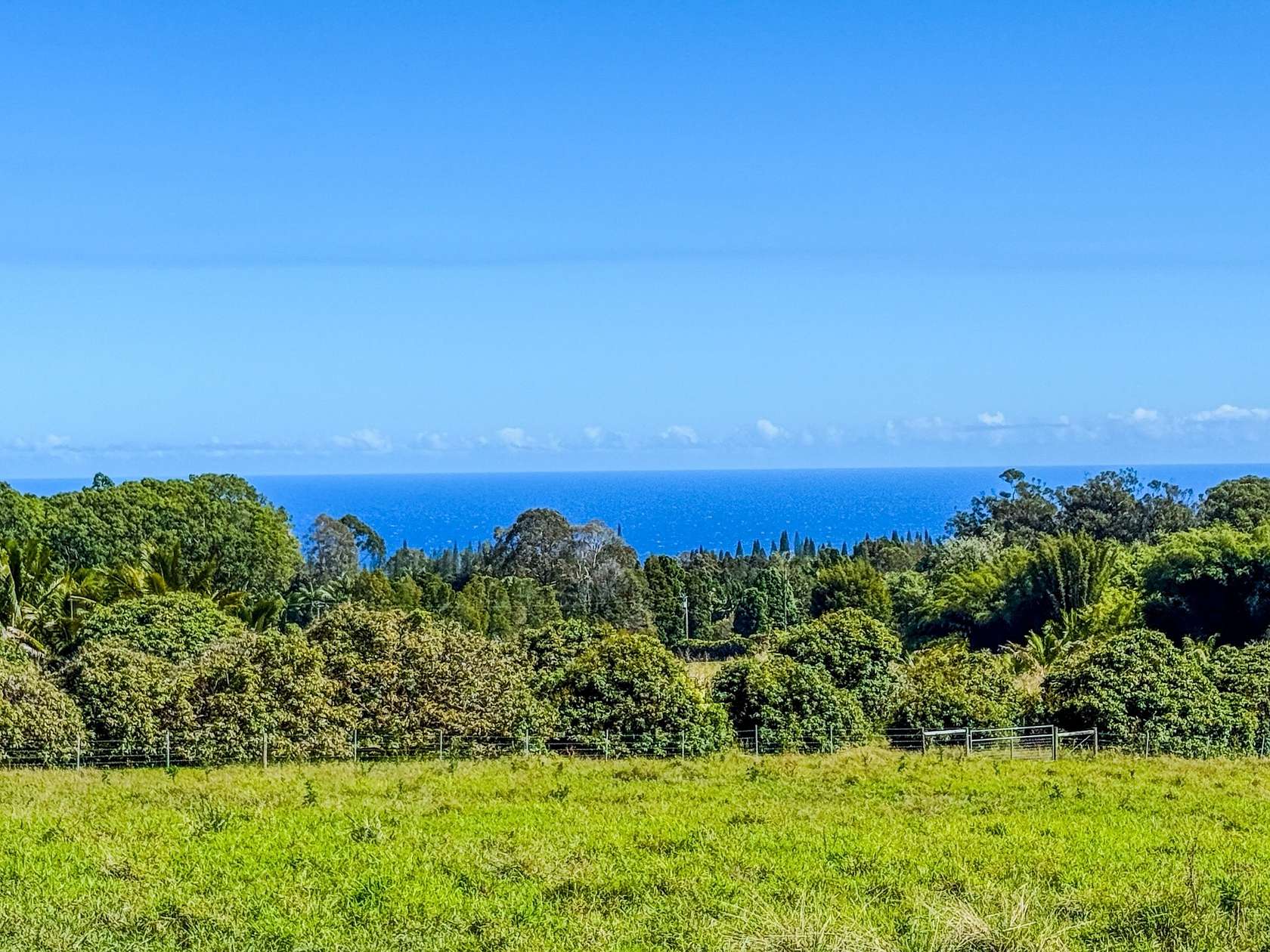 1.55 Acres of Residential Land for Sale in Hakalau, Hawaii
