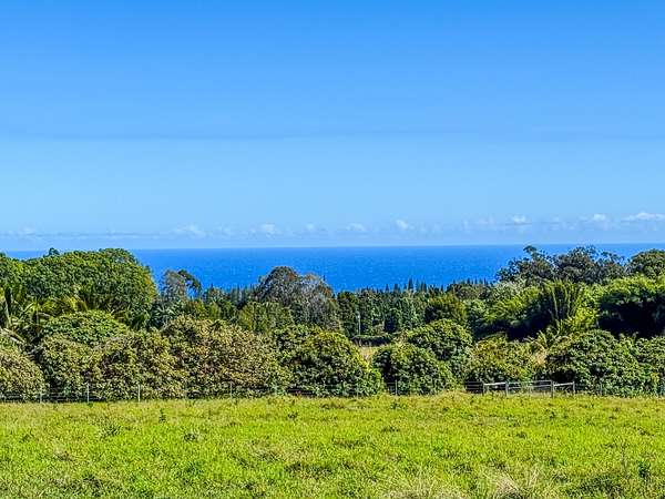 1.55 Acres of Residential Land for Sale in Hakalau, Hawaii
