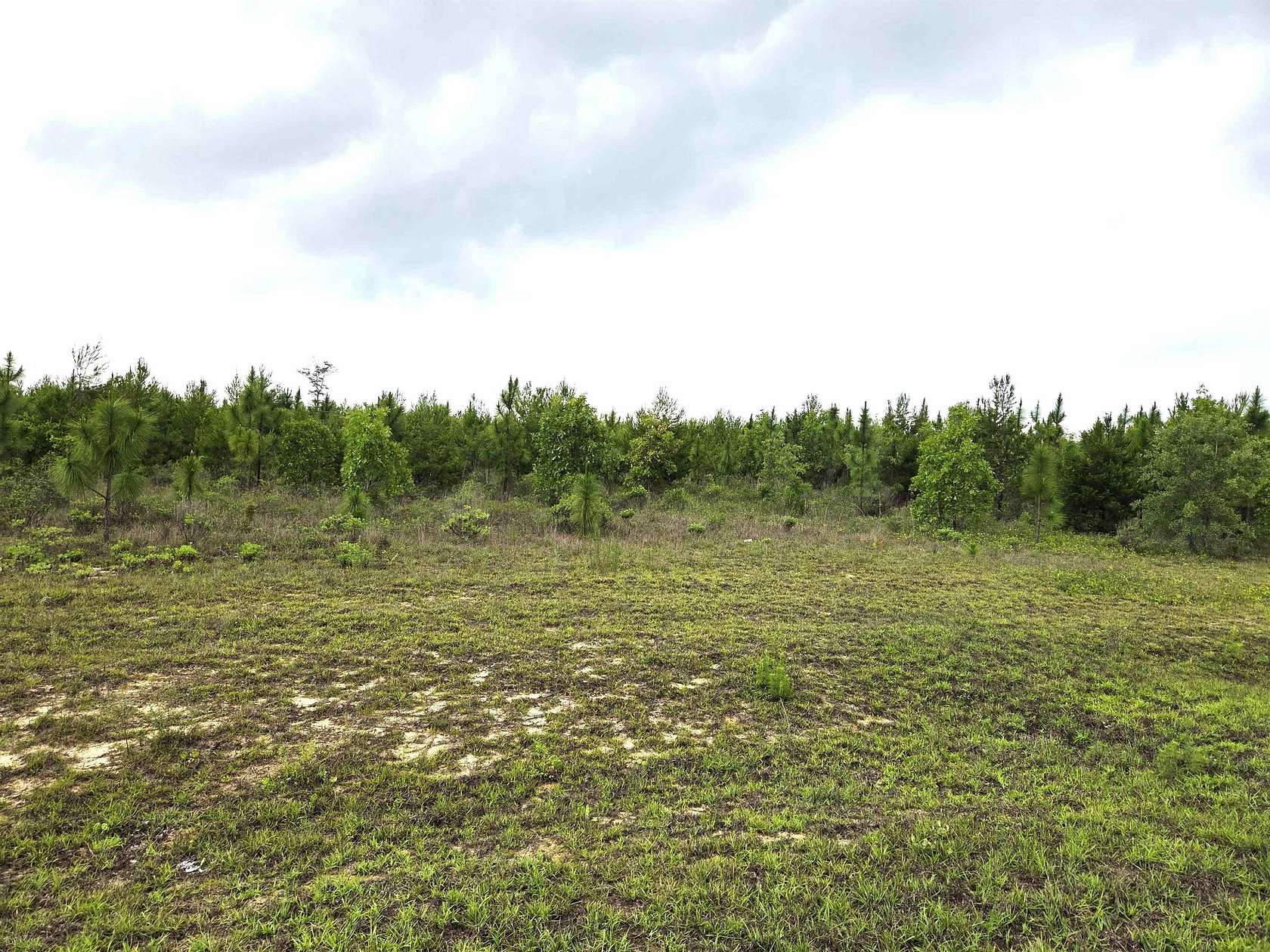 10 Acres of Recreational & Residential Land for Sale in Bristol, Florida